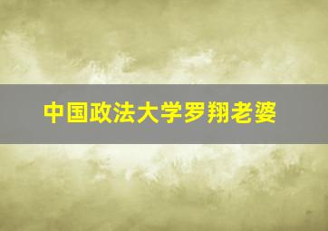 中国政法大学罗翔老婆