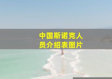 中国斯诺克人员介绍表图片