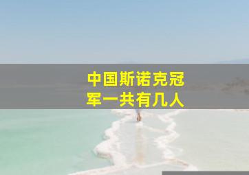 中国斯诺克冠军一共有几人