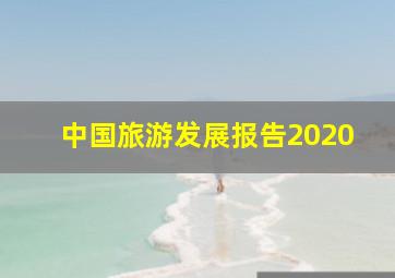 中国旅游发展报告2020