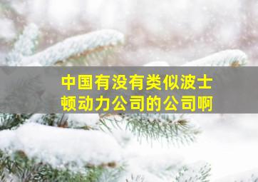 中国有没有类似波士顿动力公司的公司啊