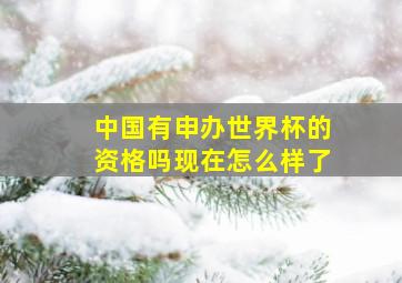 中国有申办世界杯的资格吗现在怎么样了