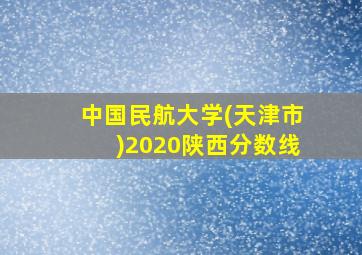 中国民航大学(天津市)2020陕西分数线