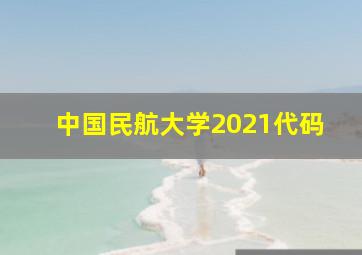 中国民航大学2021代码