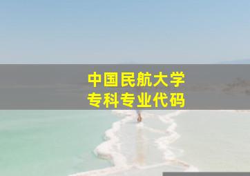 中国民航大学专科专业代码