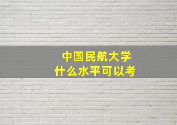 中国民航大学什么水平可以考