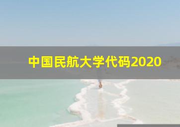 中国民航大学代码2020