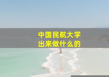 中国民航大学出来做什么的