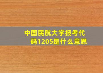 中国民航大学报考代码1205是什么意思