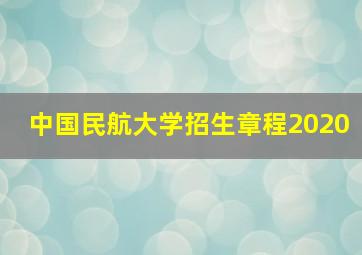 中国民航大学招生章程2020