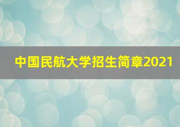 中国民航大学招生简章2021