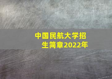 中国民航大学招生简章2022年