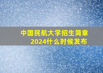 中国民航大学招生简章2024什么时候发布