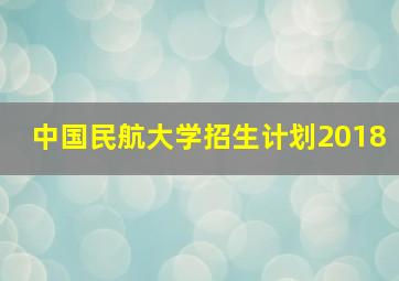 中国民航大学招生计划2018