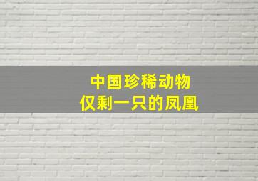 中国珍稀动物仅剩一只的凤凰