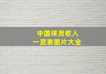 中国球员收入一览表图片大全