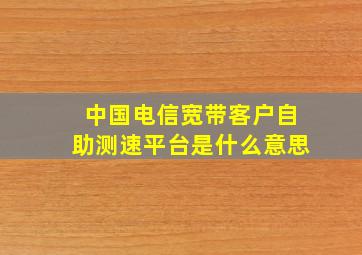 中国电信宽带客户自助测速平台是什么意思