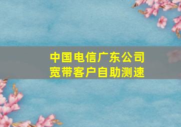 中国电信广东公司宽带客户自助测速