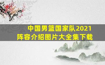 中国男篮国家队2021阵容介绍图片大全集下载