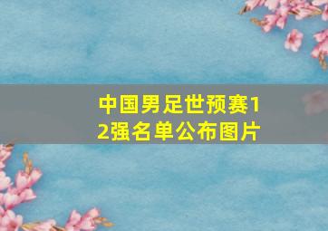 中国男足世预赛12强名单公布图片