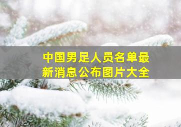 中国男足人员名单最新消息公布图片大全