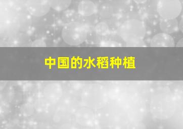 中国的水稻种植