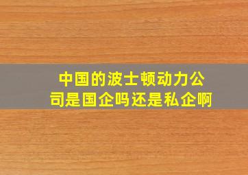 中国的波士顿动力公司是国企吗还是私企啊