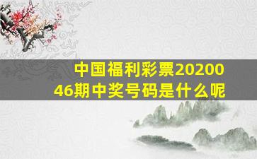 中国福利彩票2020046期中奖号码是什么呢