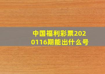 中国福利彩票2020116期能出什么号