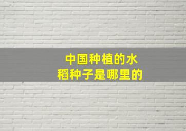 中国种植的水稻种子是哪里的