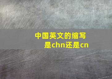 中国英文的缩写是chn还是cn