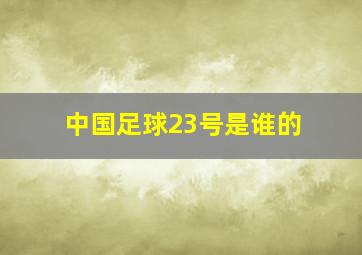 中国足球23号是谁的