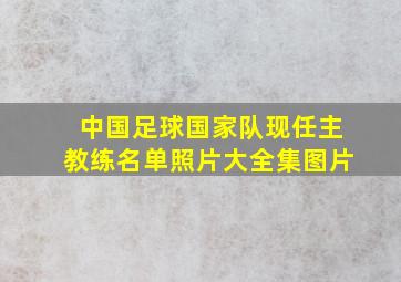 中国足球国家队现任主教练名单照片大全集图片