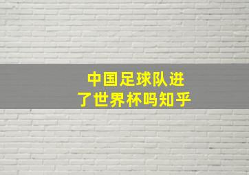 中国足球队进了世界杯吗知乎