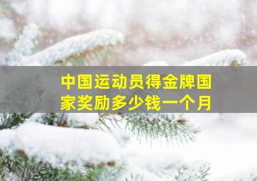 中国运动员得金牌国家奖励多少钱一个月