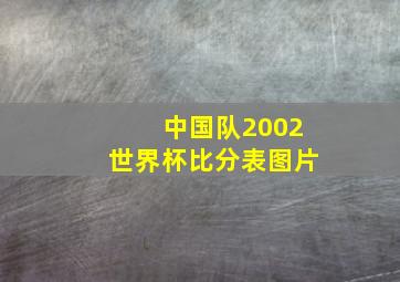 中国队2002世界杯比分表图片