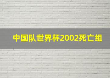 中国队世界杯2002死亡组