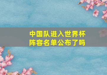 中国队进入世界杯阵容名单公布了吗