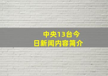 中央13台今日新闻内容简介