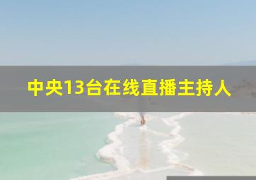 中央13台在线直播主持人