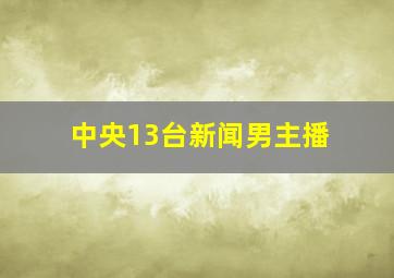 中央13台新闻男主播