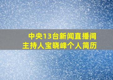 中央13台新闻直播间主持人宝晓峰个人简历