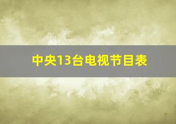 中央13台电视节目表