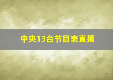 中央13台节目表直播