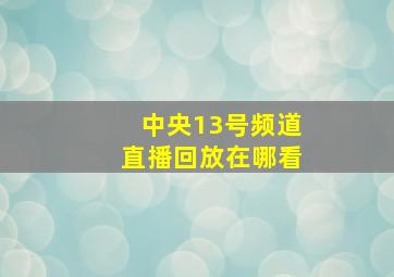 中央13号频道直播回放在哪看