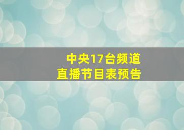 中央17台频道直播节目表预告