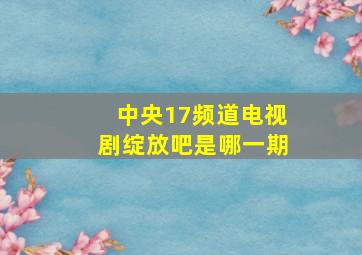 中央17频道电视剧绽放吧是哪一期