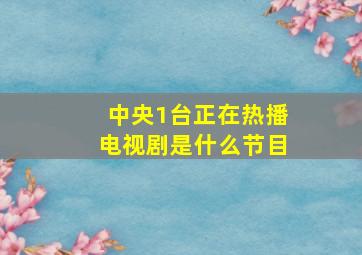 中央1台正在热播电视剧是什么节目