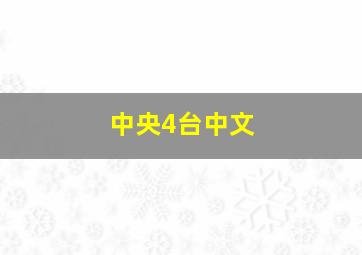 中央4台中文