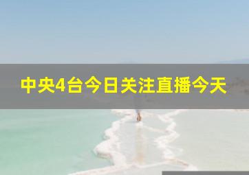 中央4台今日关注直播今天